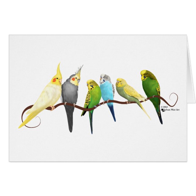 Parakeets & Cockatiels! (Voorkant Horizontaal)
