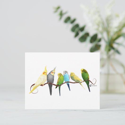 Parakeets & Cockatiels! Briefkaart (Staand voorkant)