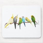 Parakeets & Cockatiels! Muismat (Voorkant)