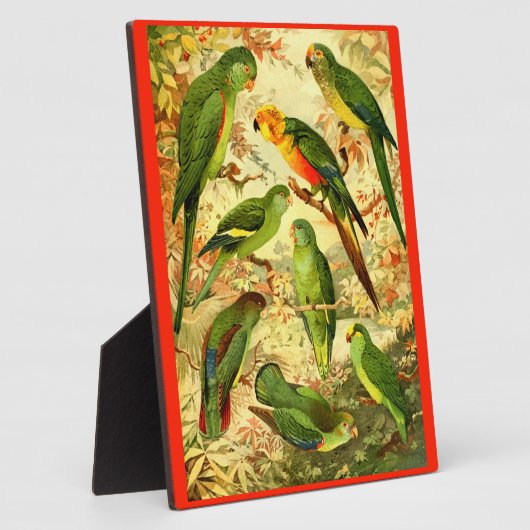 Parakeets Fotoplaat (Zijkant)