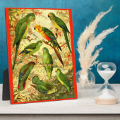 Parakeets Fotoplaat (Zijkant)