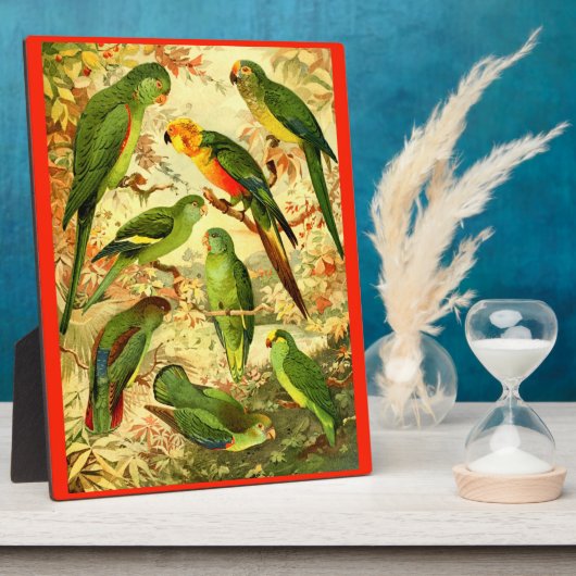 Parakeets Fotoplaat (Zijkant)