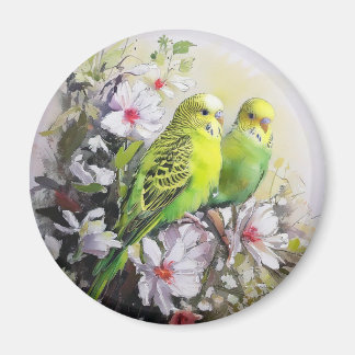 Parakeets Magneet