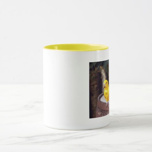 parakeets mok (Midden)