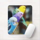 Parakeets mousepad muismat (Met muis)