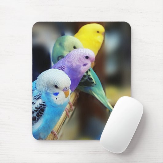 Parakeets mousepad muismat (Met muis)