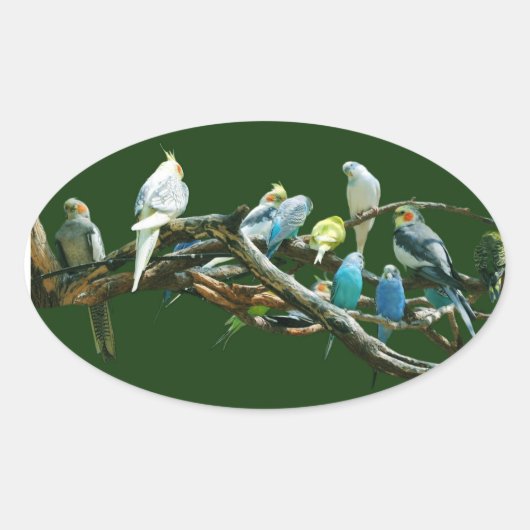 Parakeets N Cockatiels Ovale Sticker (Voorkant)
