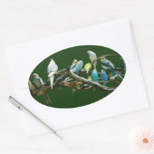Parakeets N Cockatiels Ovale Sticker (Envelop)