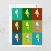 Parakeets op Aarde tonde-pleinen Briefkaart (Voorkant / Achterkant)