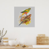 Parakeets Poster (Keuken)
