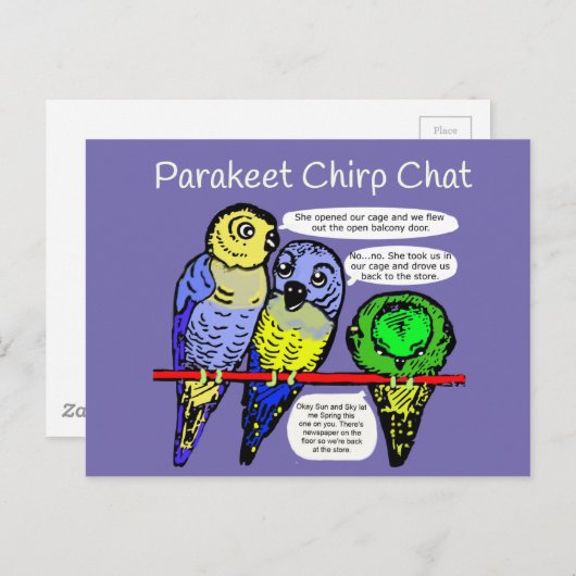 Paraket Chirp en Talk is Cheep Briefkaart (Voorkant / Achterkant)