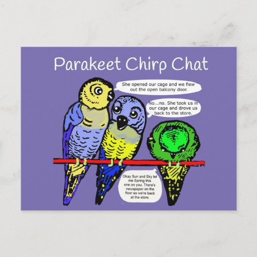 Paraket Chirp en Talk is Cheep Briefkaart (Voorkant)