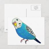 Paraket Drawing Briefkaart (Voorkant / Achterkant)