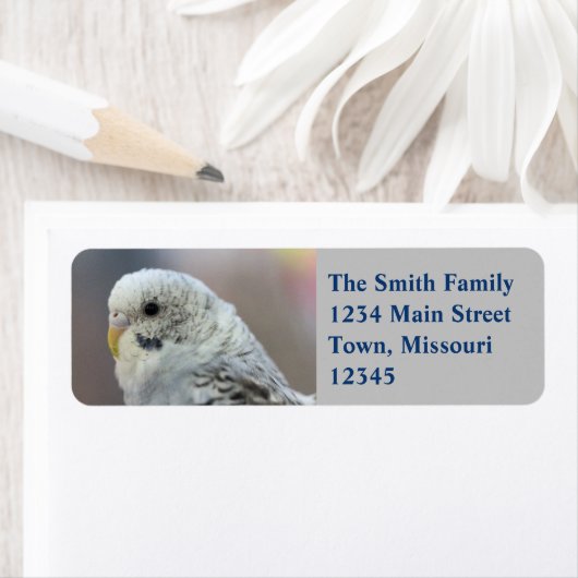 Paraket Etiket (Insitu)