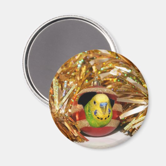 Paraket kerst magneet (Voorkant / Achterkant)