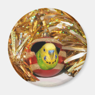 Paraket kerst magneet