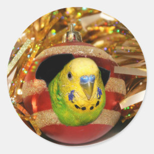 Paraket kerst ronde sticker