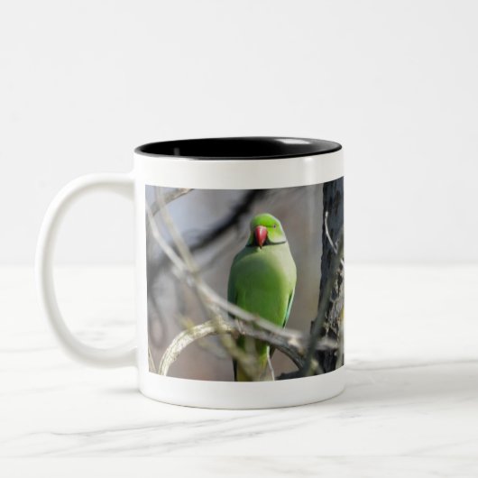 Paraket Tweekleurige Koffiemok (Links)