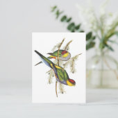 Paraket - vogelkunst briefkaart (Staand voorkant)