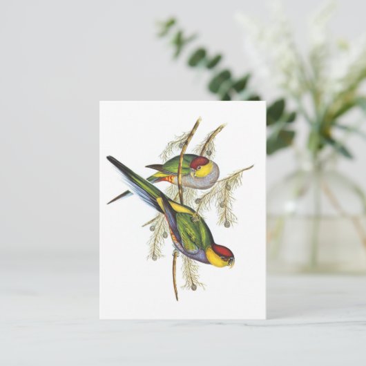 Paraket - vogelkunst briefkaart (Staand voorkant)