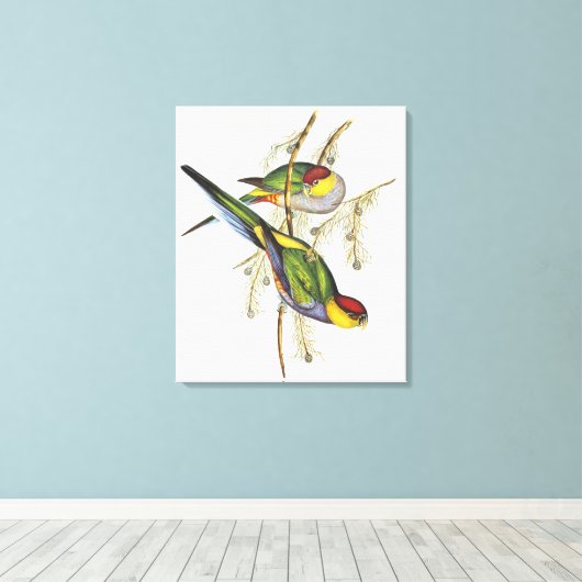 Paraket - vogelkunst canvas afdruk (Insitu (Houten vloer))