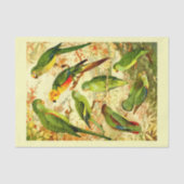 Paraketten, ontkoppeling tissuepapier (Voorkant)