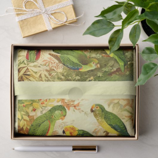 Paraketten, ontkoppeling tissuepapier (Geschenk)
