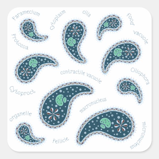 Paramecia Paisley Biologie Wetenschap MIcrobe Donk Vierkante Sticker (Voorkant)
