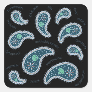 Paramecia Paisley Biologie Wetenschap Microbe Donk Vierkante Sticker