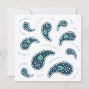 Paramecia Paisley Biology Custom No. Notitiekaartje