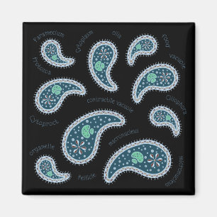 Paramecia Paisley Biology Science Microbe Dark Magneet