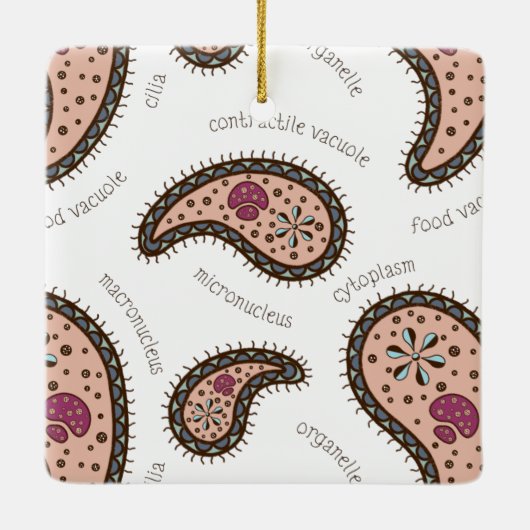 Paramecia Paisley Biology Science White Keramisch Ornament (Achterkant)