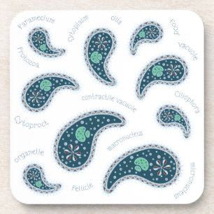 Paramecia Paisley Protozoan Biology Science Bier Onderzetter