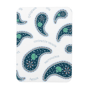 Paramecia Paisley Protozoan Biology Science Magneet