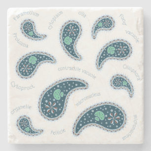 Paramecia Paisley Protozoan Biology Science Stenen Onderzetter