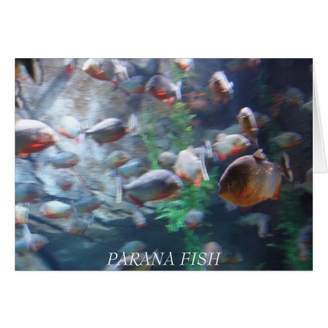 Parana (Voorkant Horizontaal)