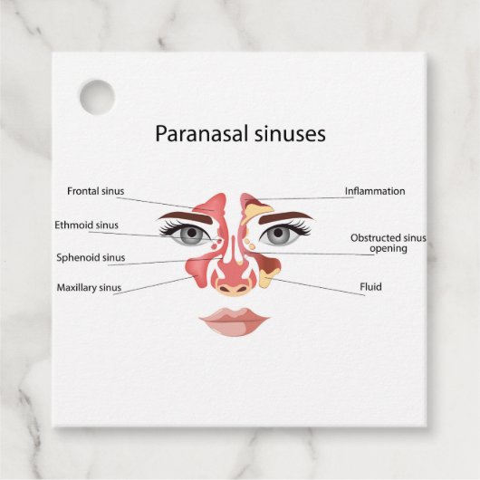 Paranasale sinussen bedankjes labels (Voorkant)