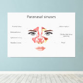 Paranasale sinussen canvas afdruk (Insitu (Houten vloer))