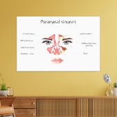 Paranasale sinussen canvas afdruk (Insitu (Woonkamer))