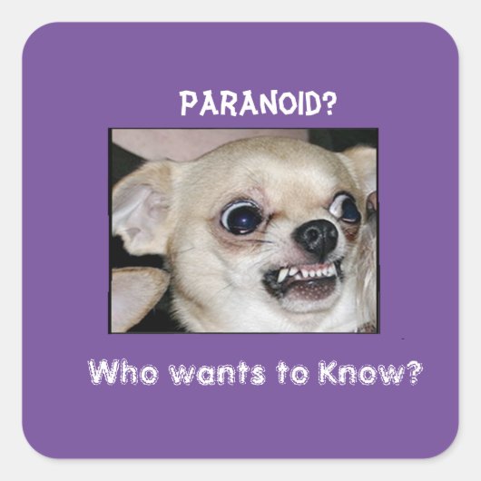 Paranoid Chihuahua bleef steken op Barking Angst Vierkante Sticker (Voorkant)