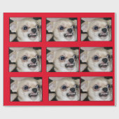 Paranoid Chihuahua vat uw hoge angst in Cadeaupapier (Vlak)