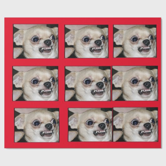 Paranoid Chihuahua vat uw hoge angst in Cadeaupapier (Vlak)