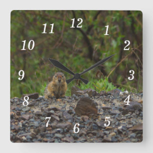 Paraplu alsjeblieft wandklok