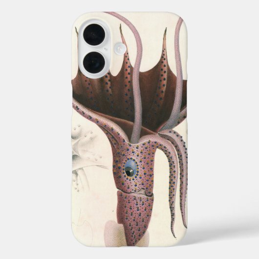 Paraplu inktvis,  zeedieren Case-Mate iPhone case (Achterkant)