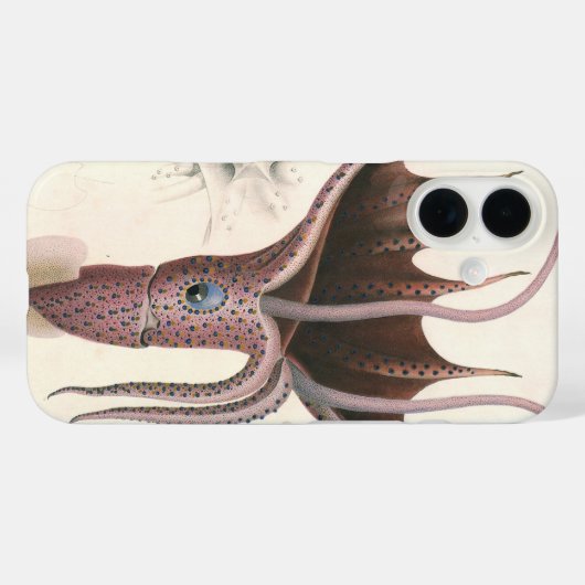 Paraplu inktvis,  zeedieren Case-Mate iPhone case (Achterkant (horizontaal))