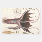 Paraplu inktvis,  zeedieren inpakpapier vel (Voorkant)