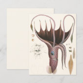 Paraplu inktvis,  zeedieren kaart (Voorkant / Achterkant)