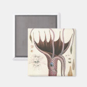 Paraplu inktvis,  zeedieren magneet (Voorkant / Achterkant)