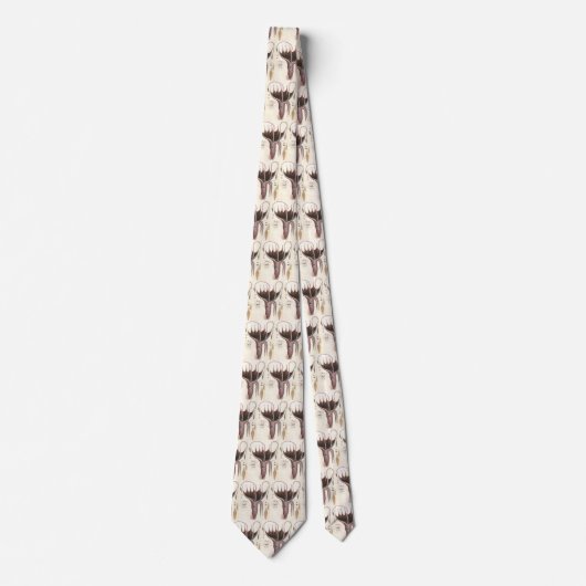 Paraplu inktvis,  zeedieren stropdas (Voorkant)