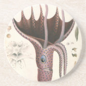 Paraplu inktvis,  zeedieren zandsteen onderzetter (Voorkant)